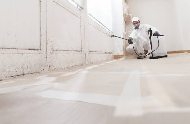 24/7 Emergency Attic Mold Removal experts in Burgess, VA